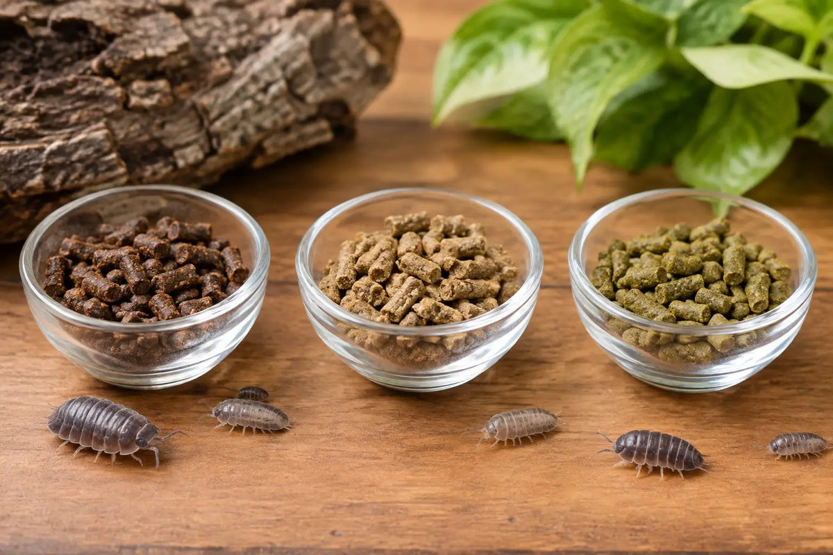 Isopod Pellet Comparison for Hungry Colonies