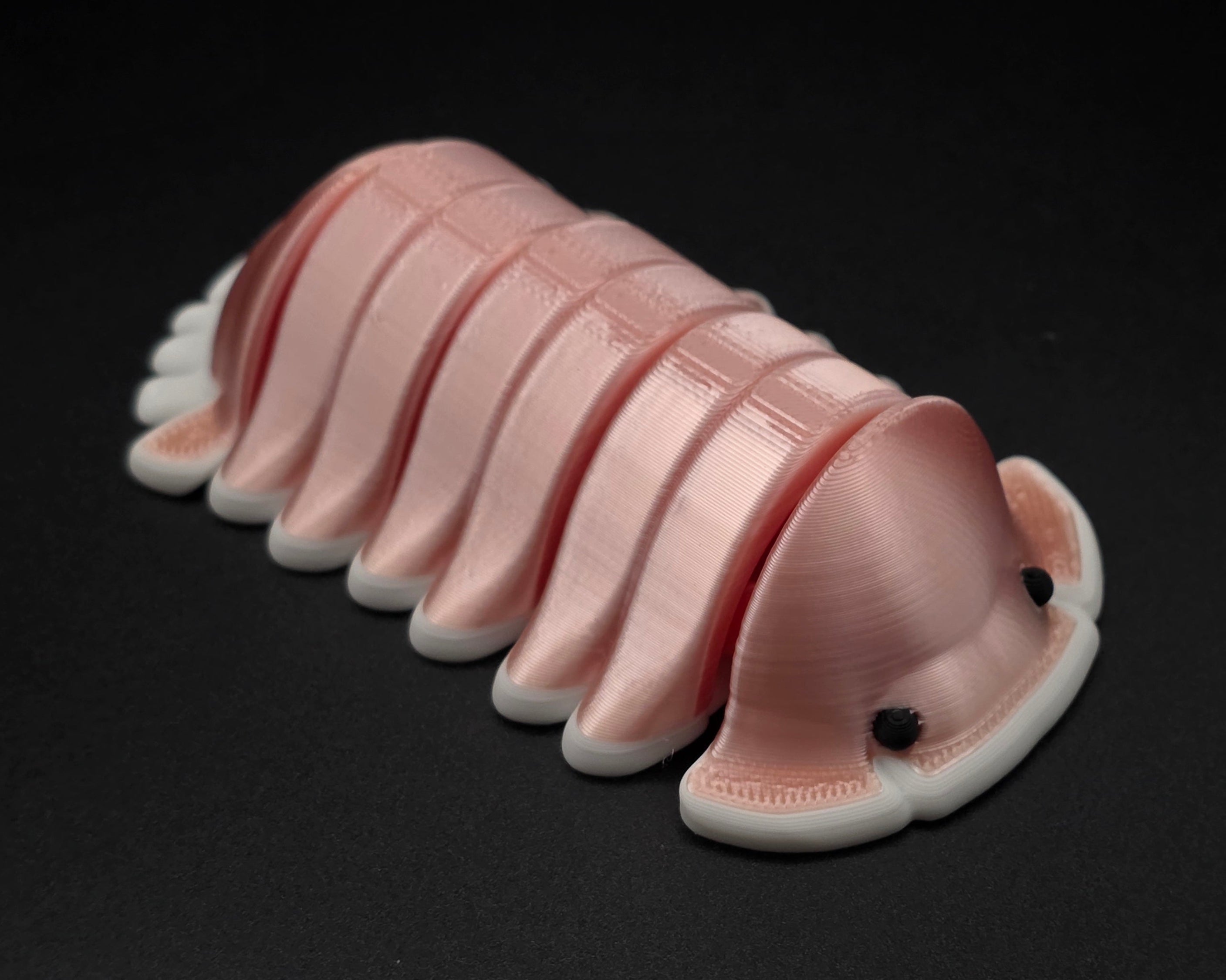 Isopod Magnets