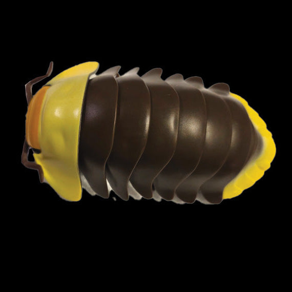 Rubber Ducky Gashapon