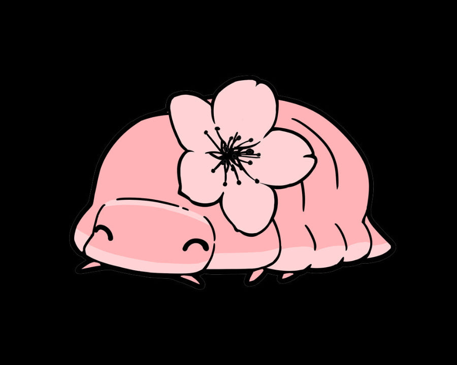 Illustration of a pink cherry blossom isopod with a flower on a black background