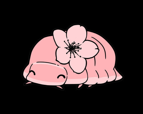 Illustration of a pink cherry blossom isopod with a flower on a black background