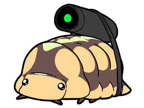 Green Laser - Holographic - 3"