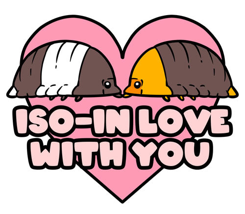 Iso N' Love