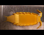 A large version of the isopod feeding tray