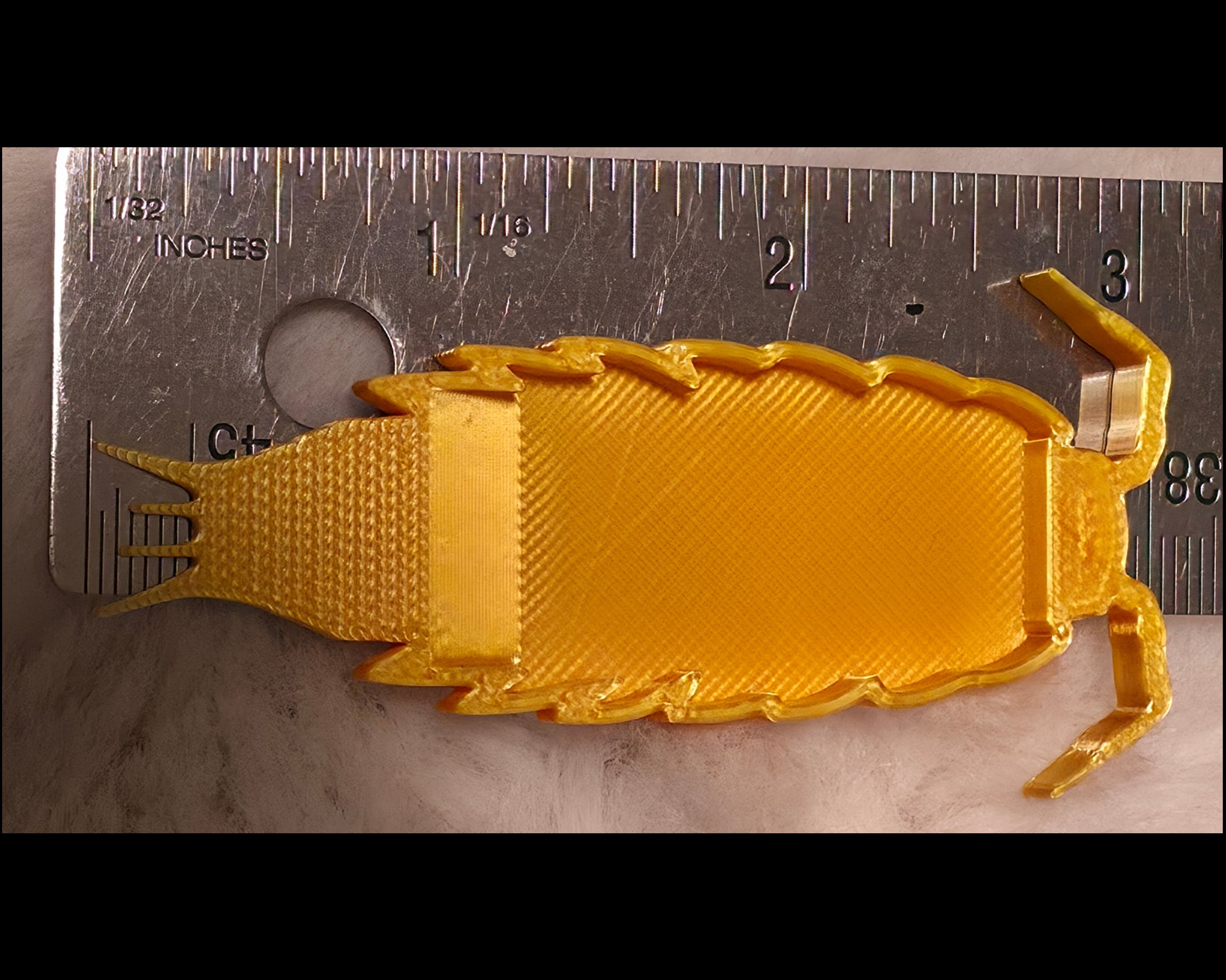 A large version of the isopod feeding tray