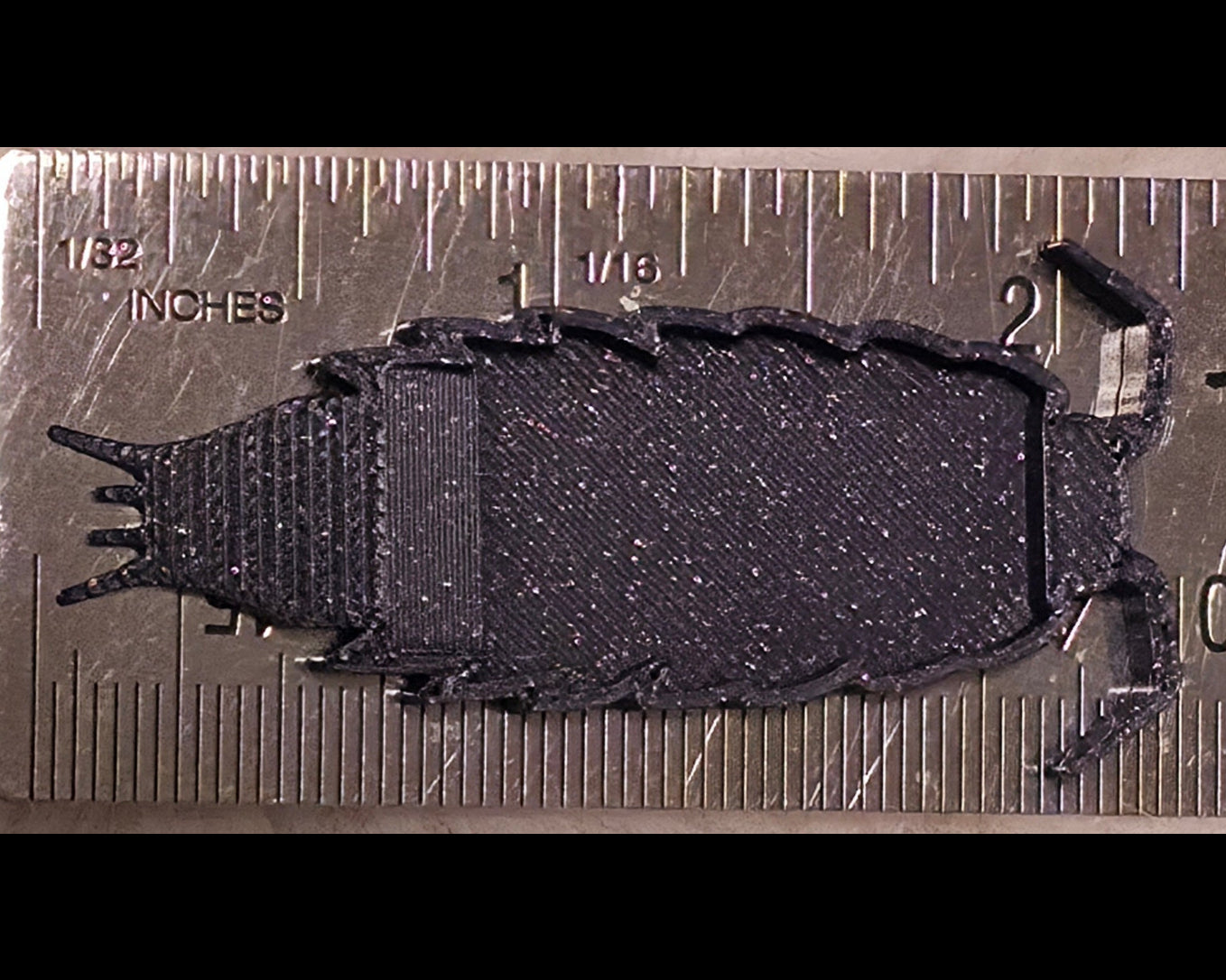A medium version of isopod feeding tray