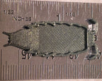 The small version of an isopod feeding dish