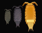Three different sizes of isopod feeding dishes