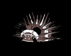 Illustration of a panda spiky isopod with a dark background