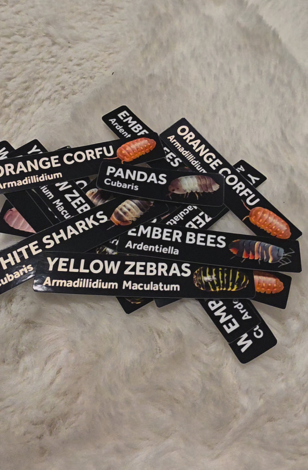 Isopod Bin Labels