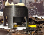 Slime Mould Feeder