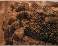Rubber Ducky Isopod Wood Print