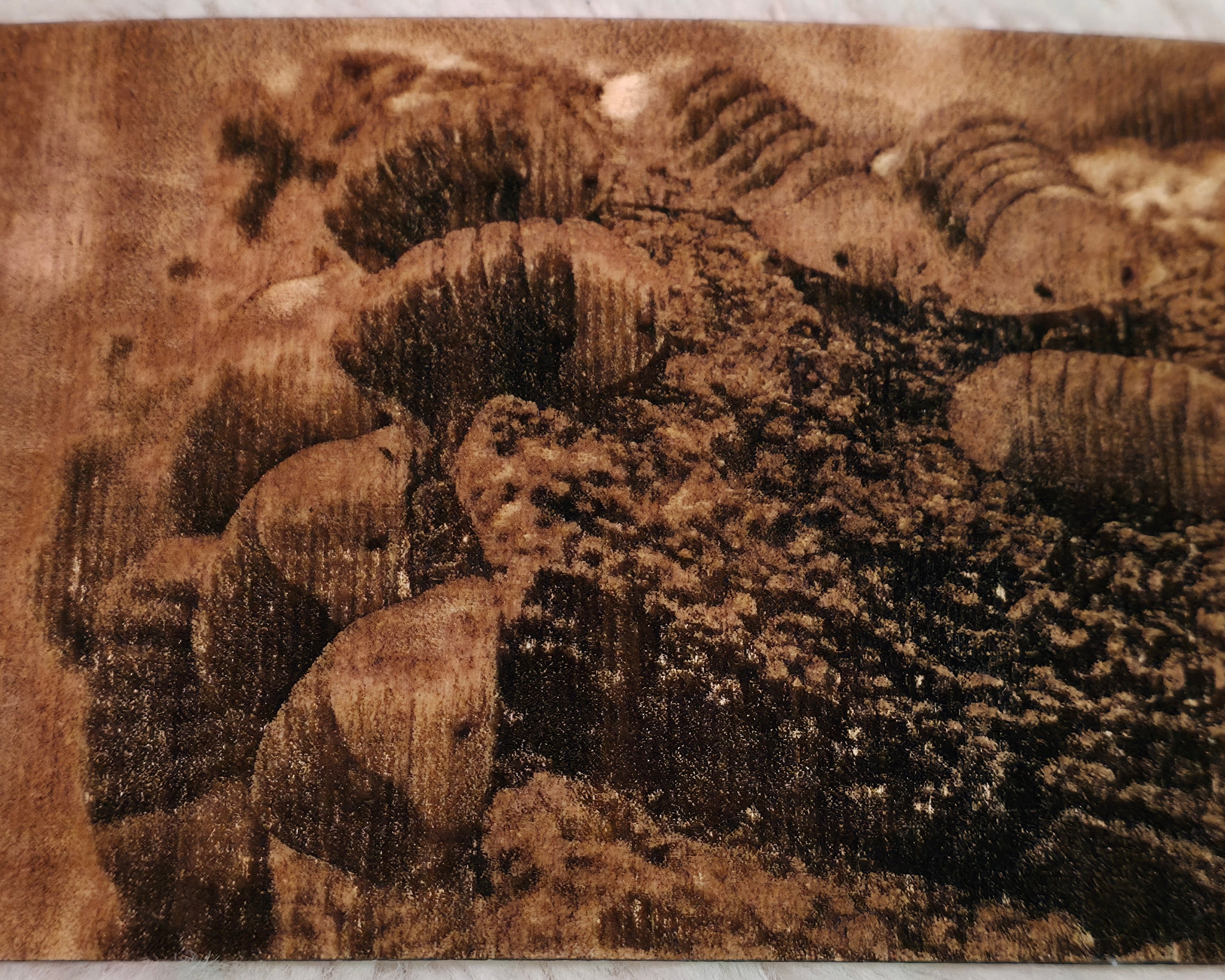 Rubber Ducky Isopod Wood Print