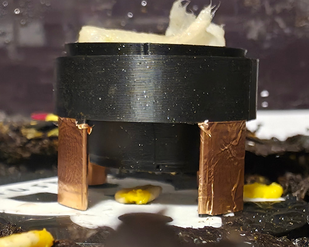 Slime Mould Feeder