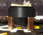 Slime Mould Feeder