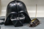 Darth Vaders - 6ct