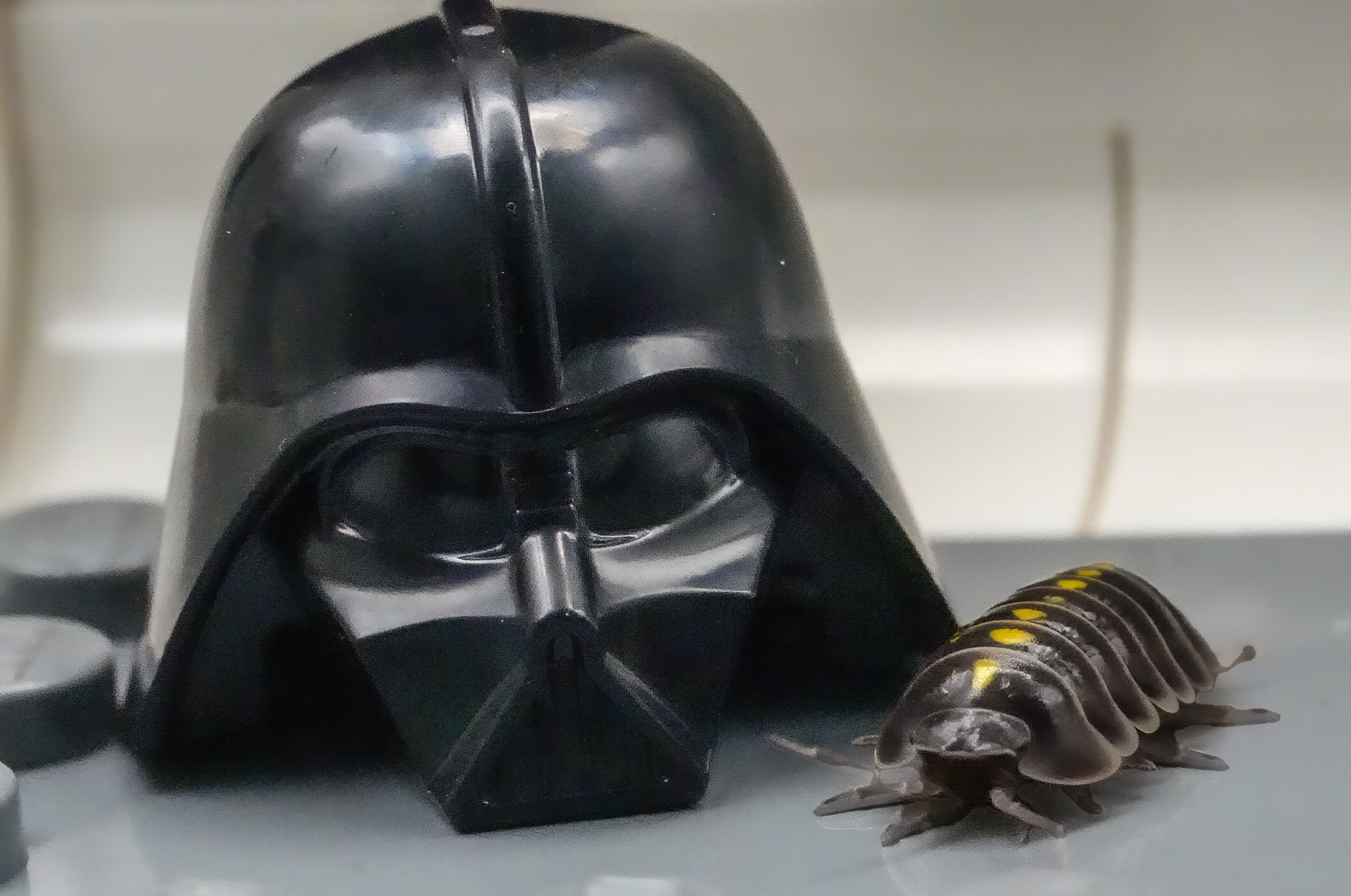 Darth Vaders - 6ct