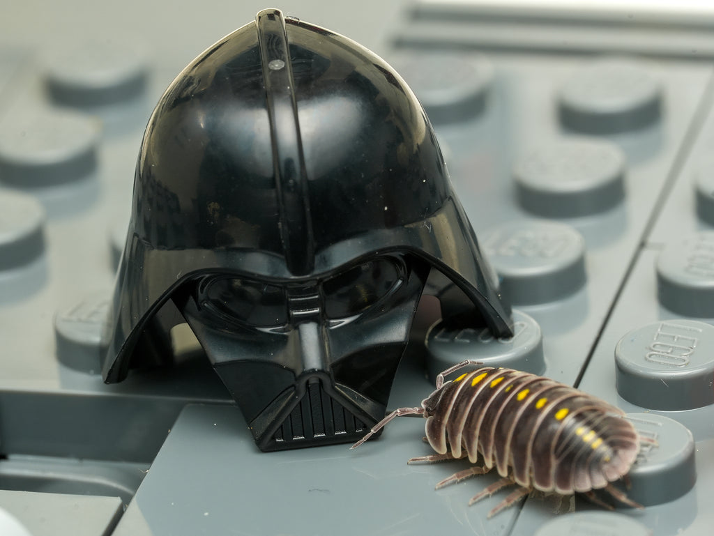 Darth Vaders - 6ct