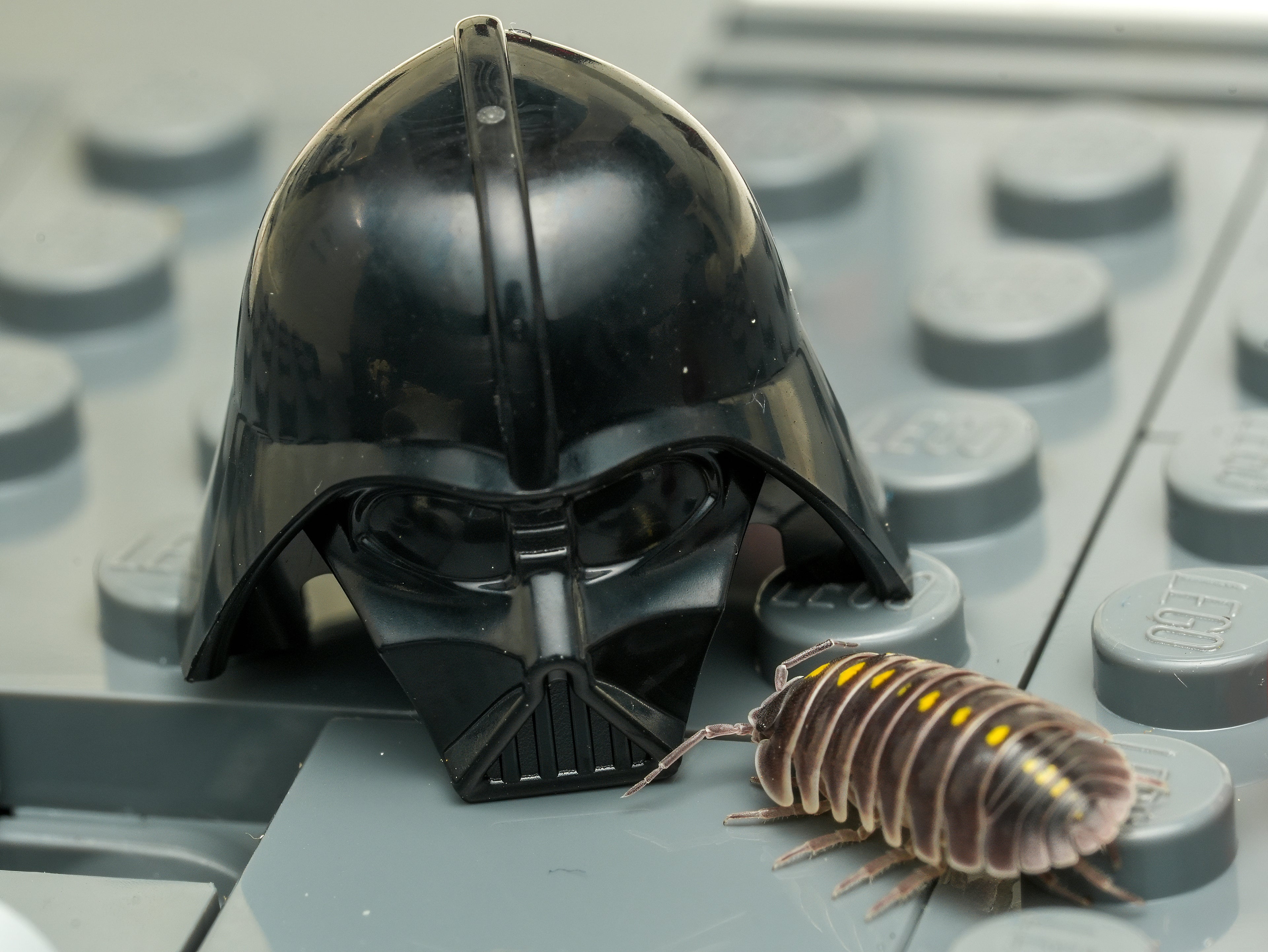 Darth Vaders - 6ct